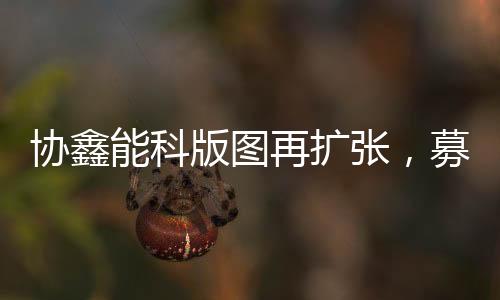 协鑫能科版图再扩张,募资超20亿进军风电
