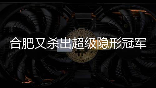合肥又杀出超级隐形冠军:年入42亿,全国第十