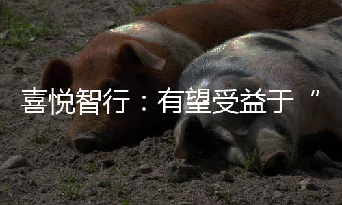 喜悦智行:有望受益于“双碳政策”,新募投项目即将启动